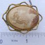 Vintage  Shell Cameo Brooch Image 5