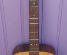 Vintage Encore guitar