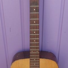 Vintage Encore guitar