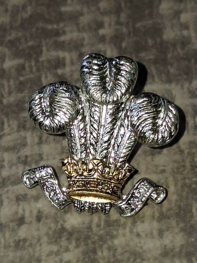 10 Old Military Metal Badges for sale as a lot Postage available or Collection Price is for the Lot,