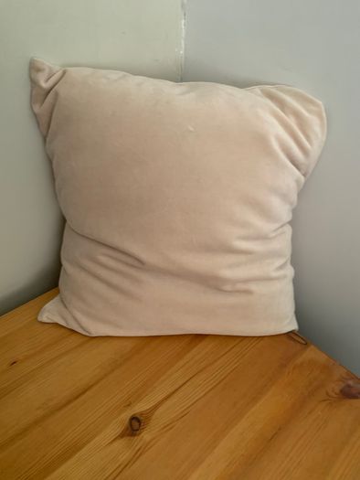 Cushion