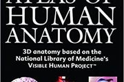 Black's Concise Atlas of Human Anatomy Paperback