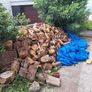 Firewood 250 Euros Image 2