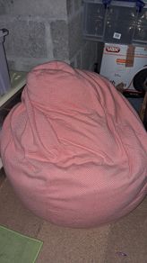 Beanbags x2