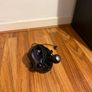 Logitech G29 Driving force + shifter Image 6