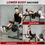 Seated Leg Extension and Curl Machine Image 4