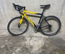 Carrera bike large