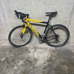 Carrera bike large