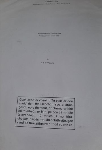 Fallons vintage Gaeilge books