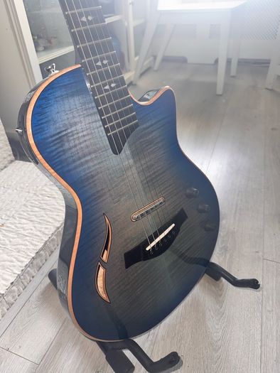Taylor T5z Pro