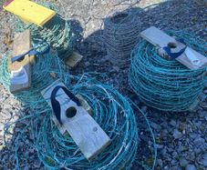 barbed wire