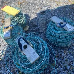 barbed wire