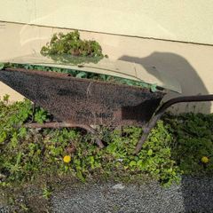 wheelbarrow for flowerpot