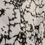 Whistles brand dress Image 7
