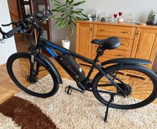 brand new ebike
