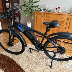 brand new ebike