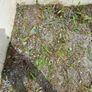 FREE hardcore / gravel stones Image 8