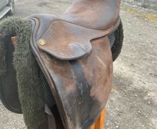 Flyde show saddle