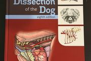 Guide to the Dissection of the Dog, 8th Edition