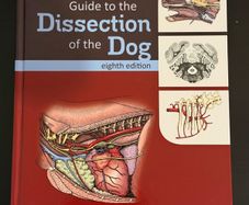 Guide to the Dissection of the Dog, 8th Edition
