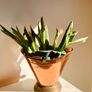 Vintage Copper & Brass Coal Scuttle or Vase Beaten Metal Decorative Piece Image 5