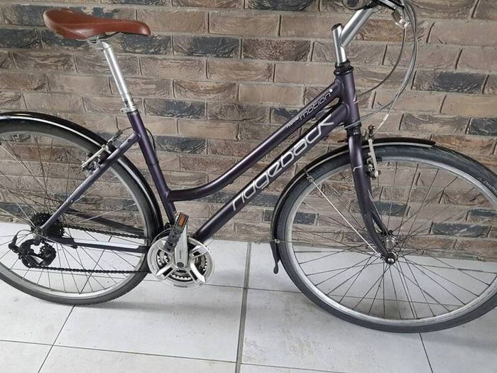 ladies bike( can deliver)