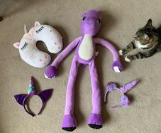 Wearable unicorn plush with unicorn themed accessories