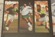 The Complete Who's Who Of Irish International Football, 1945-96 by Stephen McGarrigle