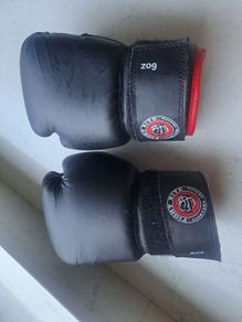 Fight Rite Boxing martial gloves
