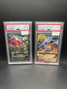 Orbeetle V Tg12/Tg30 Psa 10 | Reshiram & Charizard Gx 016/173 Psa 10 Pokemon Cards