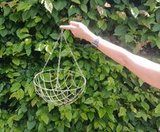 hanging baskets