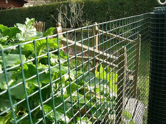 NEW SALE | Green Plastic Garden Fencing Mesh Netting Climbing Plants Vegetables Pets 5m x 0.5m x 20mm