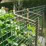 NEW SALE | Green Plastic Garden Fencing Mesh Netting Climbing Plants Vegetables Pets 5m x 0.5m x 20mm Image 3
