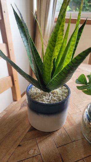 Artificial Plants in Ceramic, Glass, Stone & PVC Pots x8