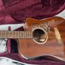 Tanglewood sundance pro Image 5