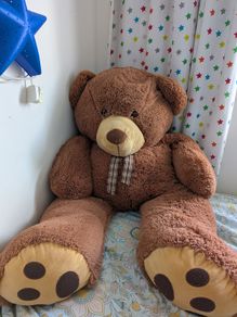 Large Teddy Bear