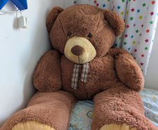 Large Teddy Bear