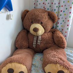 Large Teddy Bear