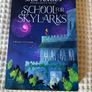 2 Children's Books . Suit 8/ 10  Plus . The Sisters Grimm & School for Skylarks. Image 2