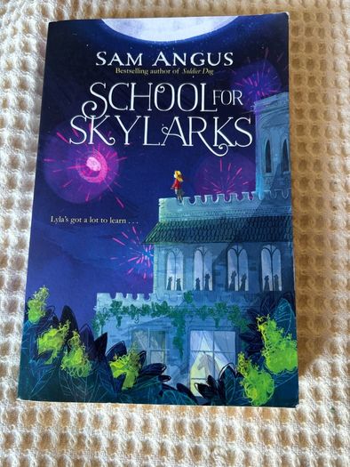 2 Children's Books . Suit 8/ 10  Plus . The Sisters Grimm & School for Skylarks.