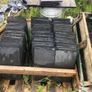 blue bangor slates Image 3