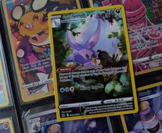 Hisuian Goodra ! Illustration Rare ! from Crown Zenith Set ! 2023 ! Pokemon Card !