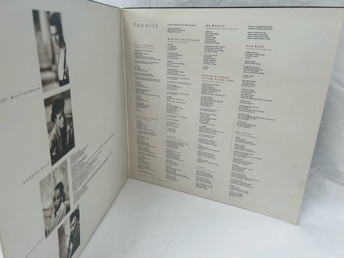 Sade Promise Vinyl LP, Original 1985, Classic 80's Hits, The Sweetest Taboo