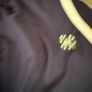 Irish rugby Canterbury track suit bottoms 2Xl Image 4