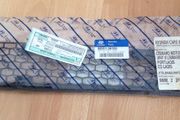Hyundai Trajet mesh