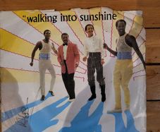 Central Line Walking Into Sunshine 7 inch Vinyl 1981 Mercury MER 78