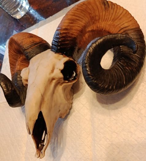 Ram skull head wall decoration
