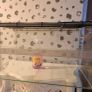 Large Reptile Glass Cage with all equipment Image 10