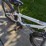 frog bike Image 6