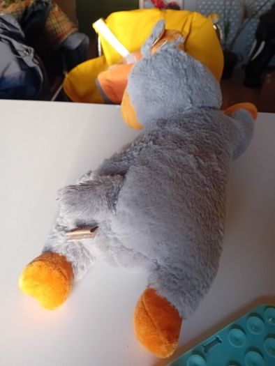 puppy start kit with heartbeat teddy